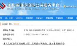 河北省最新爆料,揭秘神秘事件背后的真相